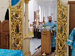 В Острогожске прошёл крестный ход с Сицилийской-Дивногорской иконой Божией Матери 