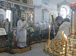 Епископ Россошанский и Острогожский Дионисий возглавил праздничное богослужение в храме святого мученика Иоанна Воина города Богучара