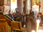 О, великий святителю Христов и чудотворче Тихоне! Услыши нас, многогрешных, прибегающих к тебе с теплою верою и умиленною мольбою