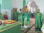 Епископ Дионисий возглавил престольное торжество храма святого благоверного князя Александра Невского с. Петровка