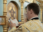 В Неделю по Рождестве Христовом Правящий Архиерей совершил Божественную литургию в храме иконы Божией Матери «Казанская» пгт. Каменка