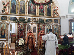 Радоница в Богучарском благочинии