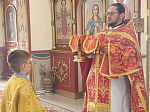 Свет Христов просвещает всех