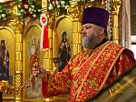 Соборное пасхальное богослужение Архипастырей и клириков епархий Воронежской митрополии совершено в Покровском соборе г. Воронежа