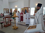 Жители села Медово поблагодарили священнослужителя за доброе служение