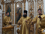 Правящий Архиерей совершил Литургию в Георгиевском храме села Терновое Острогожского района