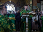 В праздник Входа Господня в Иерусалим глава Россошанской епархии совершил Литургию в Свято-Ильинском кафедральном соборе города Россоши