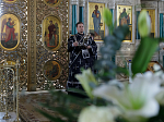 В Великую Субботу Правящий Архиерей совершил Литургию в Свято-Ильинском кафедральном соборе города Россоши