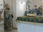 В среду четвертой седмицы Великого поста Преосвященнейший епископ Дионисий совершил Литургию Преждеосвященных Даров в храме Богоявления Господня села Сухой Донец