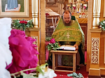 Праздник Святой Троицы в храме Успения Пресвятой Богородицы села Верхний Мамон