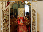 В Россошанском благочинии совершена соборная миссионерская Божественная литургия