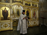 В Свято-Тихоновском соборном храме Острогожска состоялось праздничное Рождественское богослужение