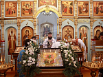 В Крещенский сочельник благочинный Каменского церковного округа иерей Сергий Папин совершил богослужения в Казанском храме поселка Каменка