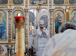 Архипастырский визит в Богучарское благочиние