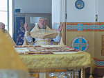 Правящий Архиерей совершил Божественную литургию в храме святых апостолов Петра и Павла с. Репьевка