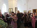 Вербное воскресение в Тихоновском соборном храме Острогожска