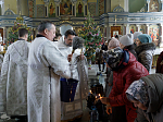 В Крещенский сочельник епископ Россошанский и Острогожский Дионисий совершил Литургию в храме Святой Живоначальной Троицы районного поселка Кантемировка