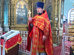 В храме Афанасия Александрийского села Солдатское торжественно отметили престольный праздник