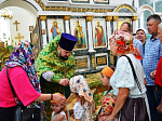 Приходы Павловского благочиния отметили День Святой Троицы праздничным богослужением