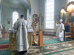В Крещенский сочельник епископ Россошанский и Острогожский Дионисий совершил Литургию в храме Святой Живоначальной Троицы районного поселка Кантемировка