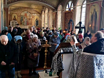 В Михайло-Архангельском храме города Острогожска совершено великопостное богослужение и освящено коливо