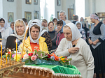 Епископ Дионисий возглавил престольное торжество храма святого благоверного князя Александра Невского с. Петровка