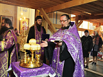 В Свято-Тихоновском соборном храме города Острогожска совершили Чин Воздвижения Креста Господня