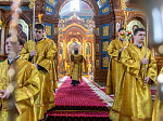 Торжественное соборное богослужение в праздник Собора Воронежских святых было совершено в Благовещенском кафедральном соборе города Воронежа