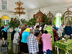 В праздник Пятидесятницы в храме села Терновое Острогожского района совершено торжественное богослужение