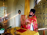 Праздник Рождества Предтечи и Крестителя Господня Иоанна в Митрофановке