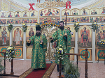Епископ Россошанский и Острогожский Дионисий совершил Божественную литургию в храме Святого Духа с. Петренково Острогожского района