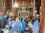 Завершилось принесение списка с чудотворной иконы Божией Матери «Избавительница от бед» (Ташлинская) в пределы Россошанской епархии