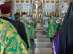 В канун праздника Святой Троицы Преосвященнейший епископ Дионисий совершил всенощное бдение в Свято-Ильинском кафедральном соборе г. Россошь