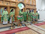 Епископ Дионисий возглавил престольное торжество храма святого благоверного князя Александра Невского с. Петровка