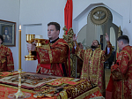 Епископ Россошанский и Острогожский Дионисий совершил венчальную Литургию в храме святителя Митрофана, первого епископа Воронежского, села Верхний Мамон