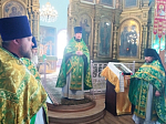 В храме святителя Афанасия Александрийского села Солдатское совершено соборное богослужение духовенства Острогожского церковного округа