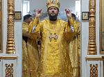 Правящий Архиерей совершил Литургию в Георгиевском храме села Терновое Острогожского района