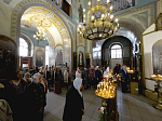 Престольный праздник Александро-Невского храма г. Россошь