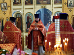 В день памяти преподобномученика Илариона (Цурикова) в Острогожском благочинии совершено соборное богослужение