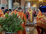 Преосвященнейший Дионисий, епископ Россошанский и Острогожский совершил Божественную литургию в Свято-Ильинском кафедральном соборе г. Россошь