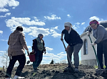 В строящемся храме села Старая Калитва провели уборку и озеленение прихрамовой территории