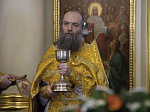 Епископ Россошанский и Острогожский Дионисий сослужил наместнику Данилова ставропигиального мужского монастыря, епископу Солнечногорскому Алексию за Божественной литургией в день 75-летия