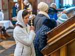 В Покровском соборе города Воронежа совершено соборное богослужение Архипастырей епархий Воронежской митрополии