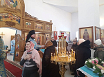 В в храме иконы Божией Матери «Утоли мои печали» села Медово торжественно отметили престольный праздник