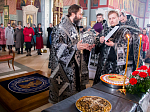 «Свет Христов просвещает всех!»