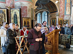 Паломническая группа Острогожского церковного округа совершила паломническую поездку к святыням Мурома и Дивеево