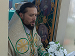 В праздник Святой Троицы Правящий Архиерей совершил Литургию в Свято-Троицком храме г. Россоши
