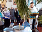 Праздничные богослужения и чин Великого освящения воды на источниках в Верхнемамонском районе