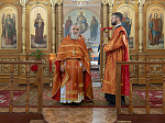 Епископ Россошанский и Острогожский Дионисий совершил Божественную литургию в Пантелеимоновском храме с. Пришиб