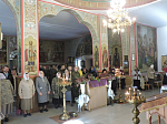 Воины Острогожска поддержали благое начинание, приняв участие в традиционной благотворительной акции «Белый цветок»